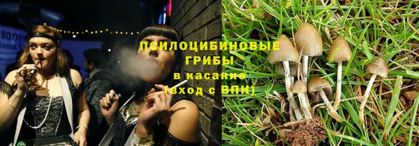 герыч Алексин
