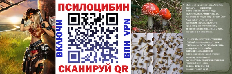 Псилоцибиновые грибы Cubensis  Ярцево 